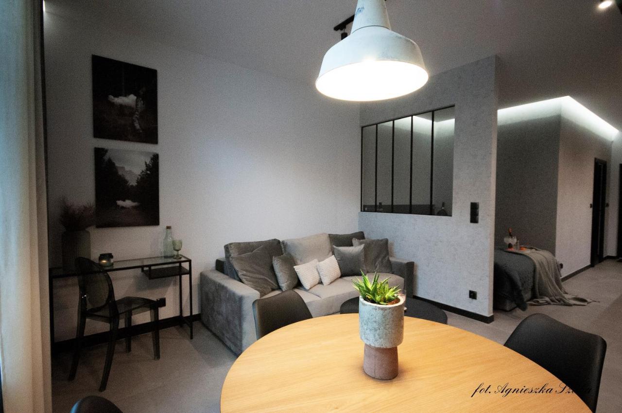 Grey Apartamenty Przy Skoczni & Ski Bus Szczyrk Eksteriør billede